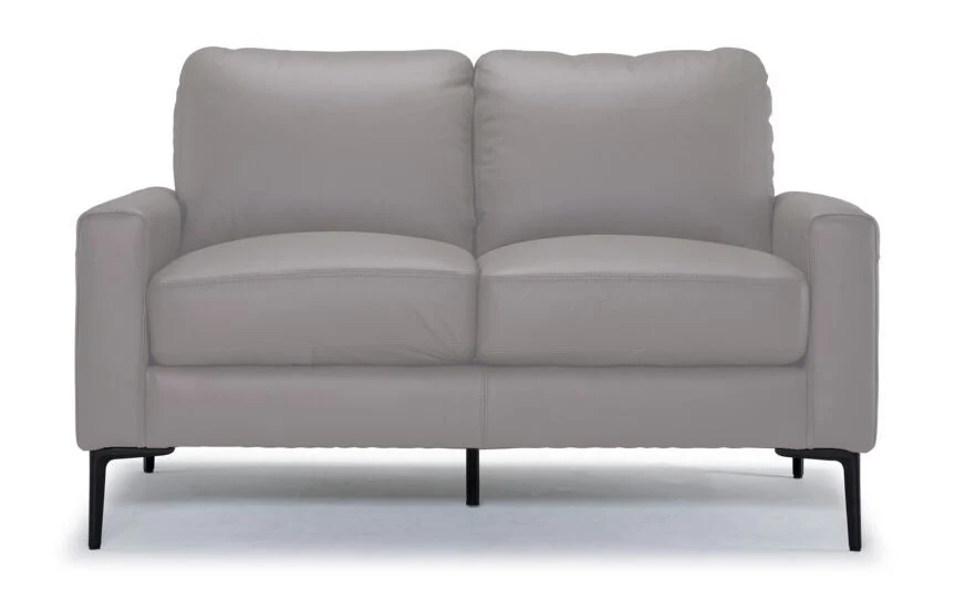 Arcadia Leather Loveseat - Cloud Grey - Image 2