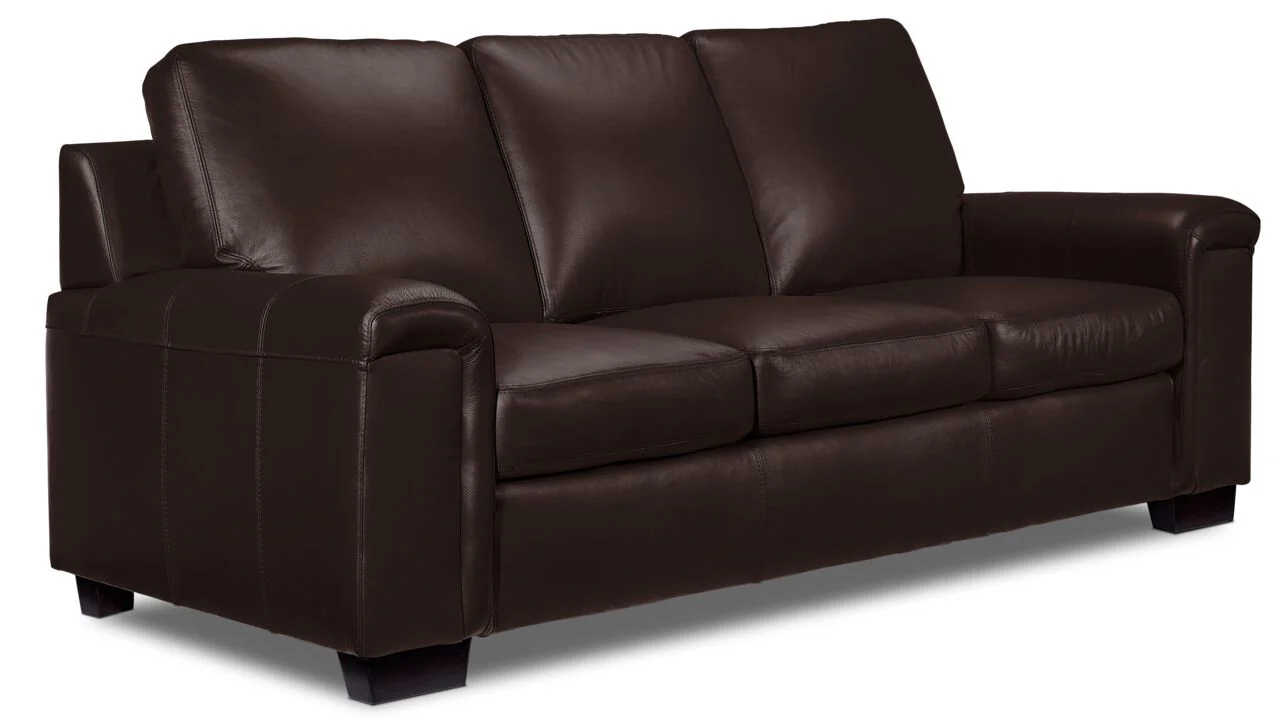 Webster Leather Sofa and Chair Set - Mocha - Image 2