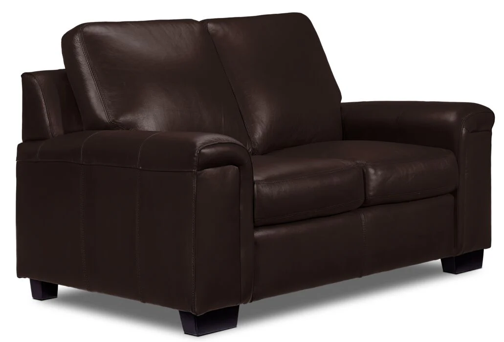Webster Leather Sofa and Loveseat Set - Mocha - Image 3