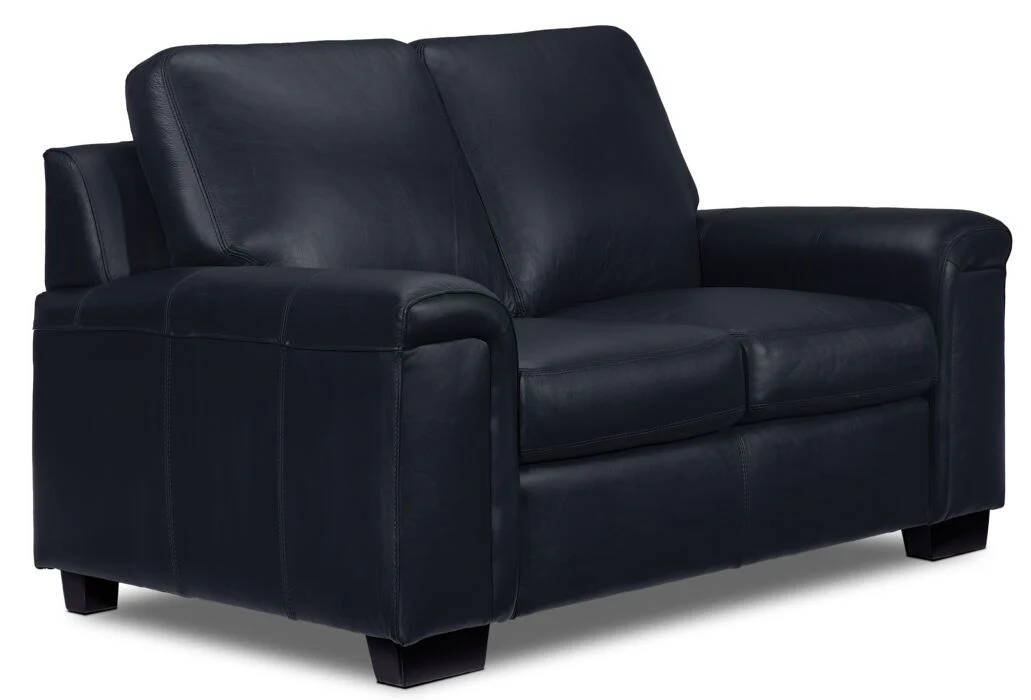 Webster Leather Sofa and Loveseat Set - Navy - Image 3