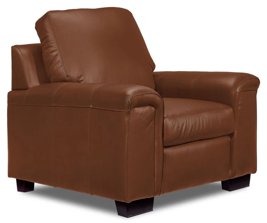 Webster Leather Sofa, Loveseat and Chair Set - Saddle - Image 4